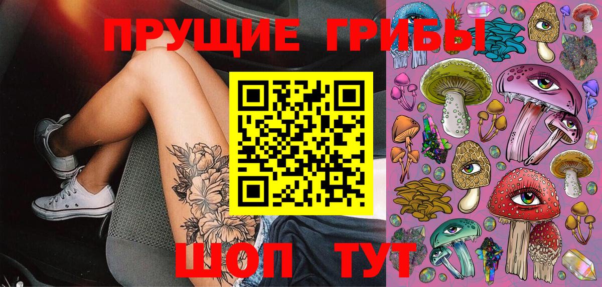Галлюциногенные грибы MAGIC MUSHROOMS  Вход с VPN  где купить наркотик  Галлюциногенные грибы Magic Shrooms  Сафоново 